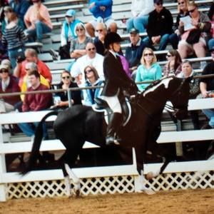 Meet your Posher, Nora